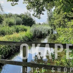 Test virtueel product