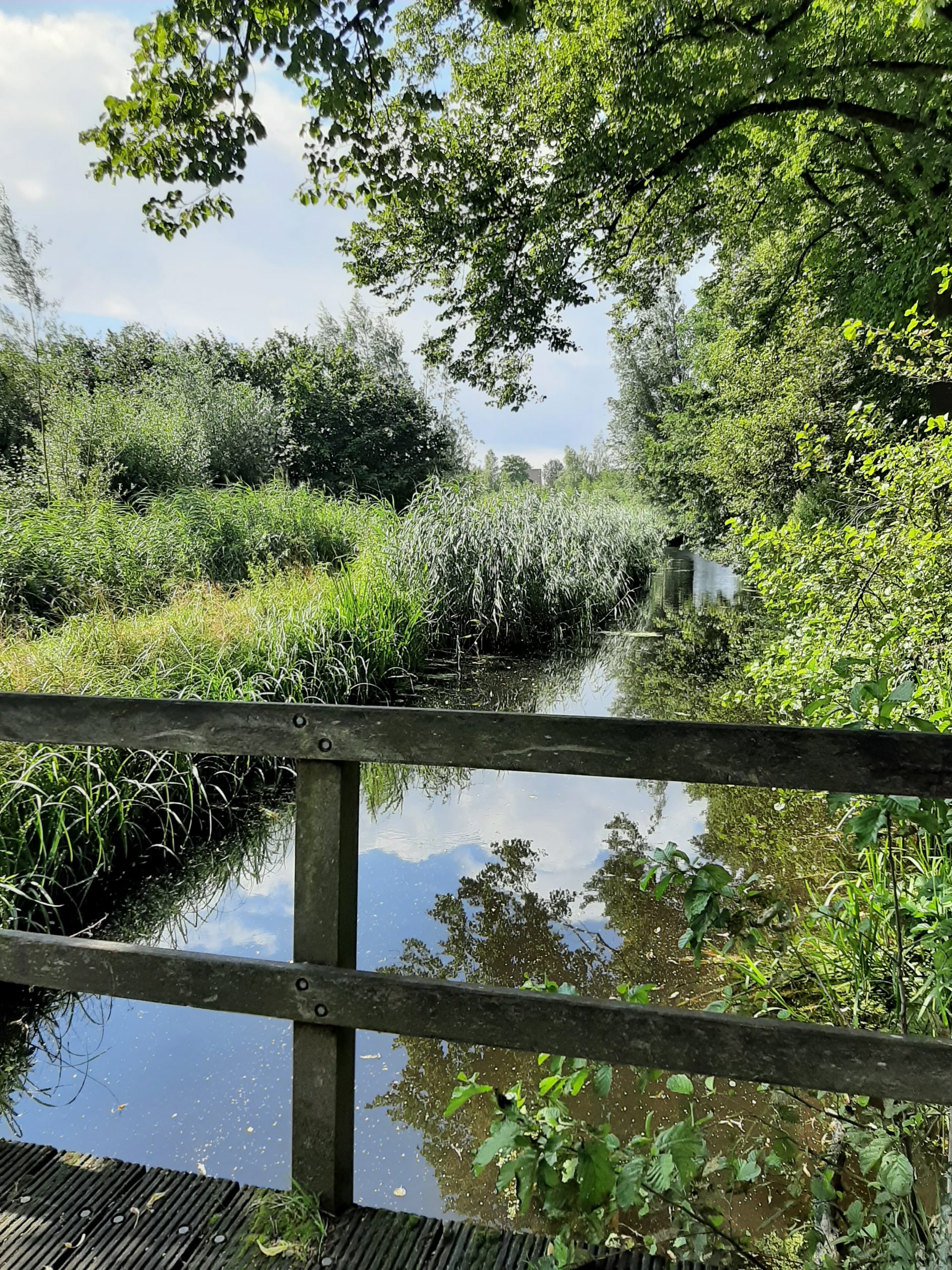 Test virtueel product